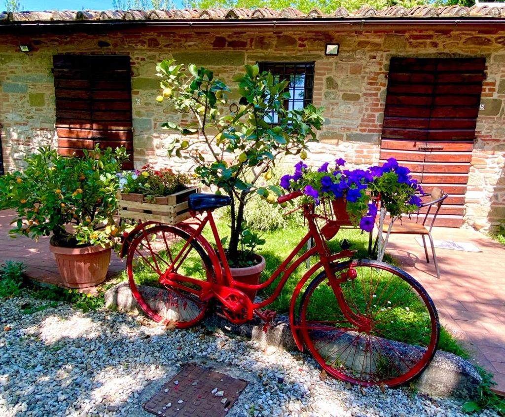 Agriturismo Stazione Di Monta ヴィッキオ エクステリア 写真
