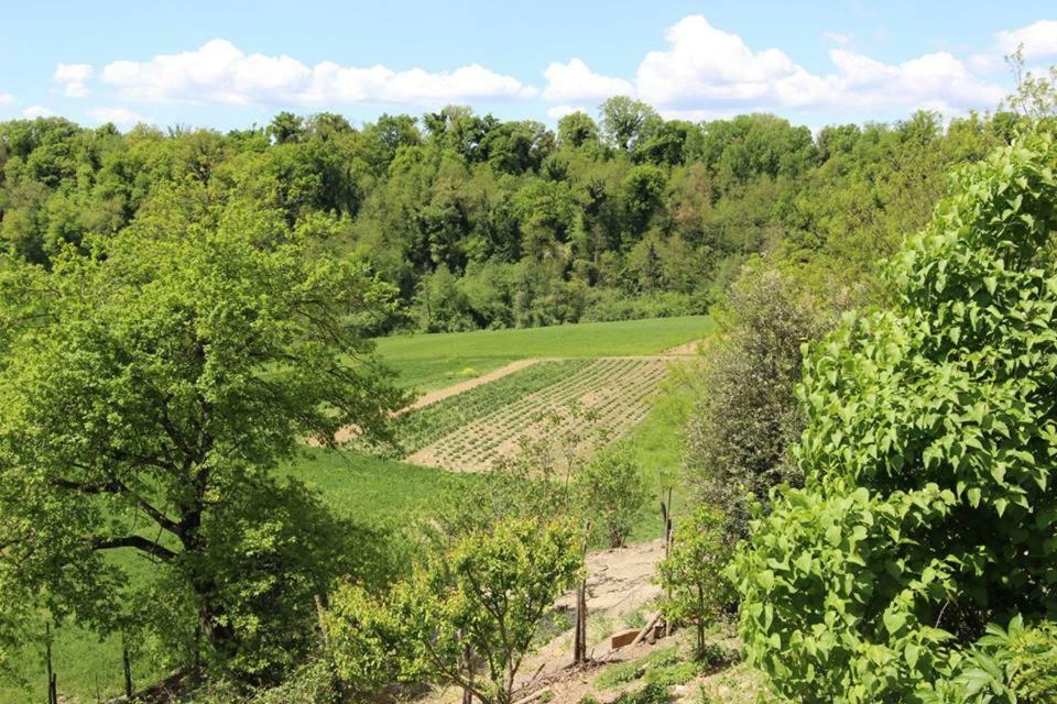 Agriturismo Stazione Di Monta ヴィッキオ エクステリア 写真